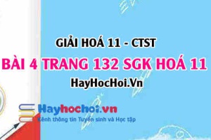 Giải bài 4 trang 132 Hoá 11 SGK Chân trời sáng tạo